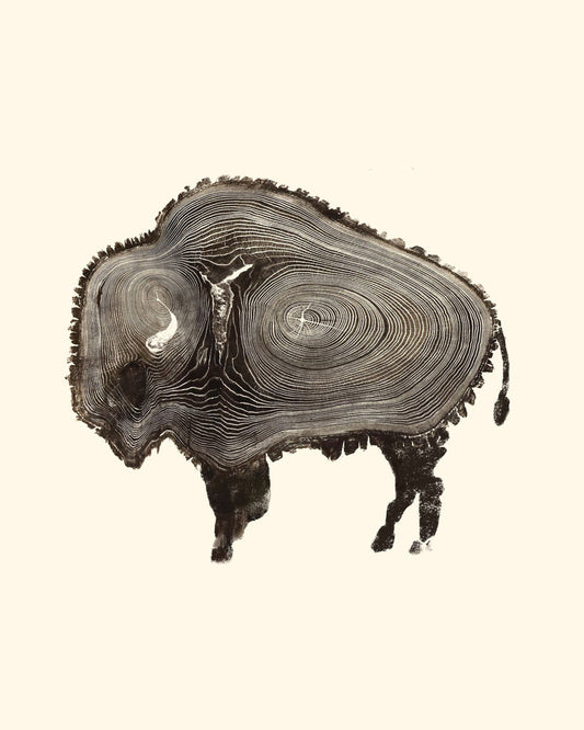 Buffalo Tree Rings - MISPRINT